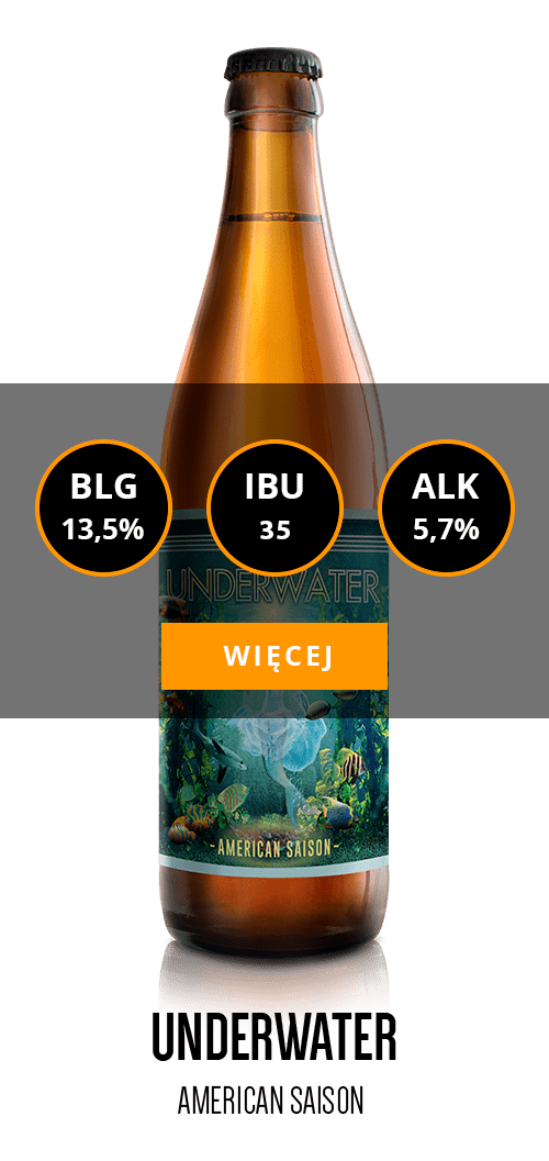 Underwater - American Saison - Informacje o piwie