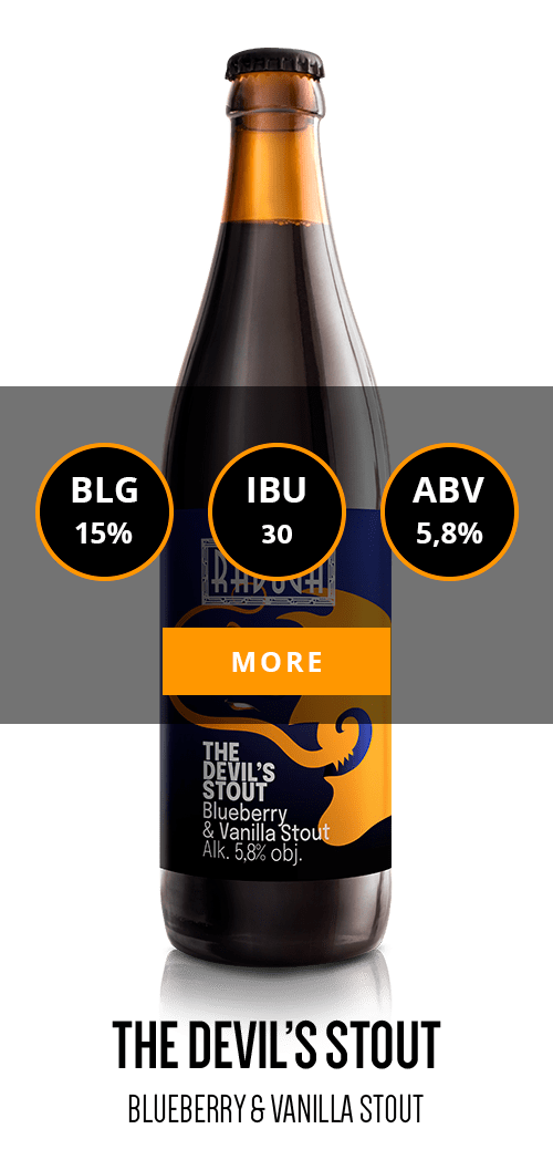 THE DEVIL’S STOUT - BLUEBERRY & VANILLA STOUT - Informacje o piwie